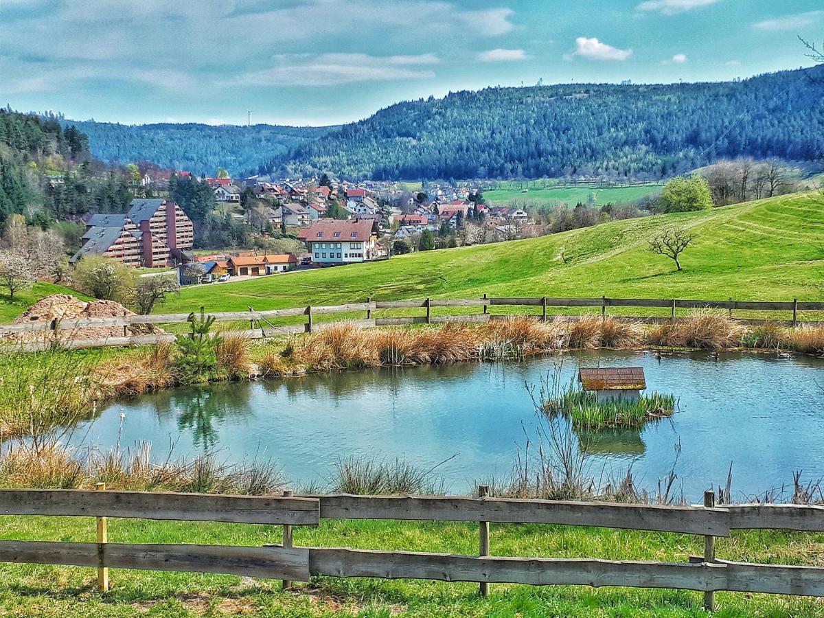 Schwarzwald Woelkchen Daire Baiersbronn Dış mekan fotoğraf