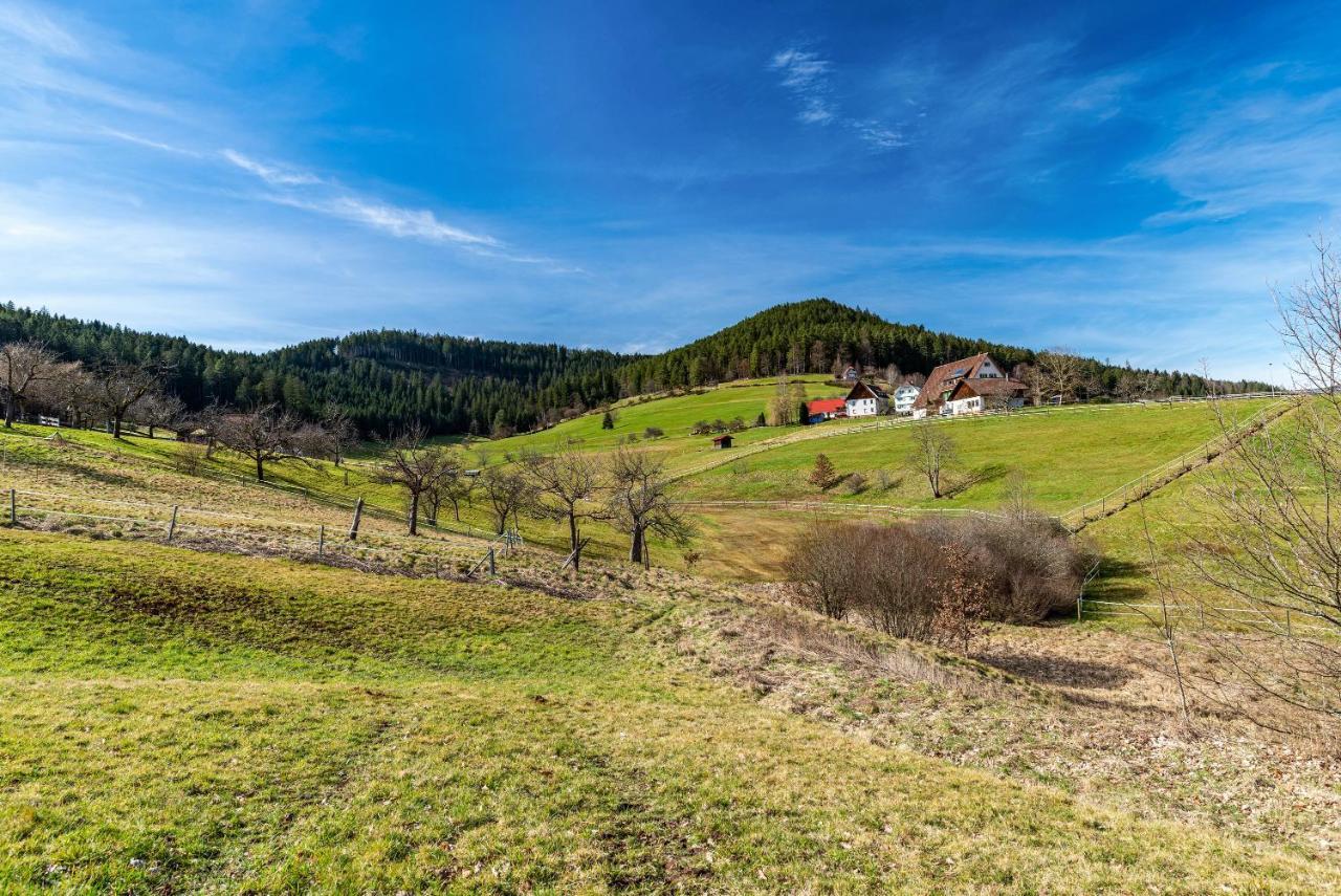 Schwarzwald Woelkchen Daire Baiersbronn Dış mekan fotoğraf